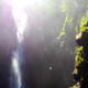Image for article titled How To Live Off The Land In Paradise